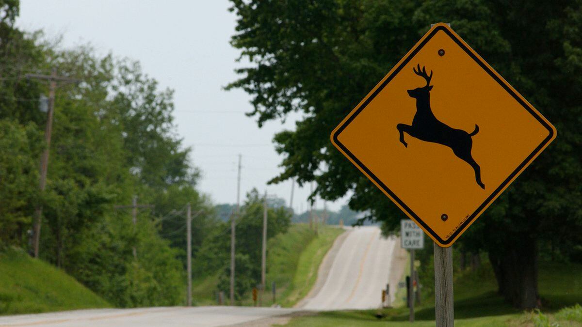 Be aware of posted deer crossing signs. These are placed in active deer crossing areas.