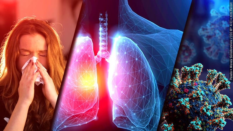 Tripledemic: Rise in flu, RSV, COVID cases a concern this winter, experts say