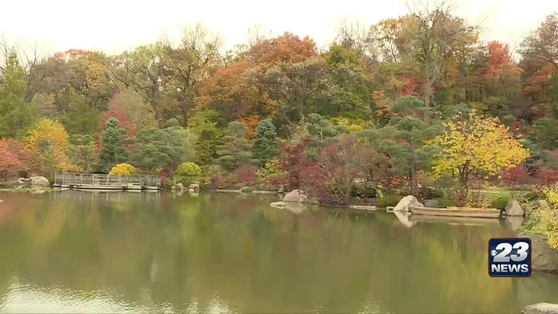 Anderson Japanese Gardens