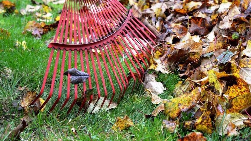 Yard waste pickup