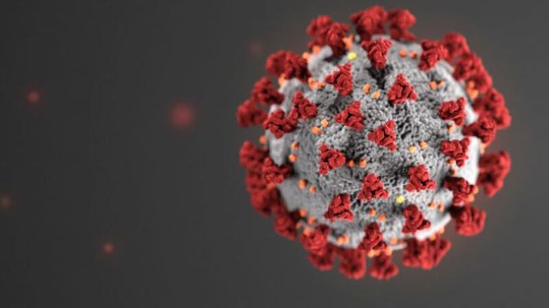 Current understanding about how the virus that causes coronavirus disease 2019 (COVID-19)...
