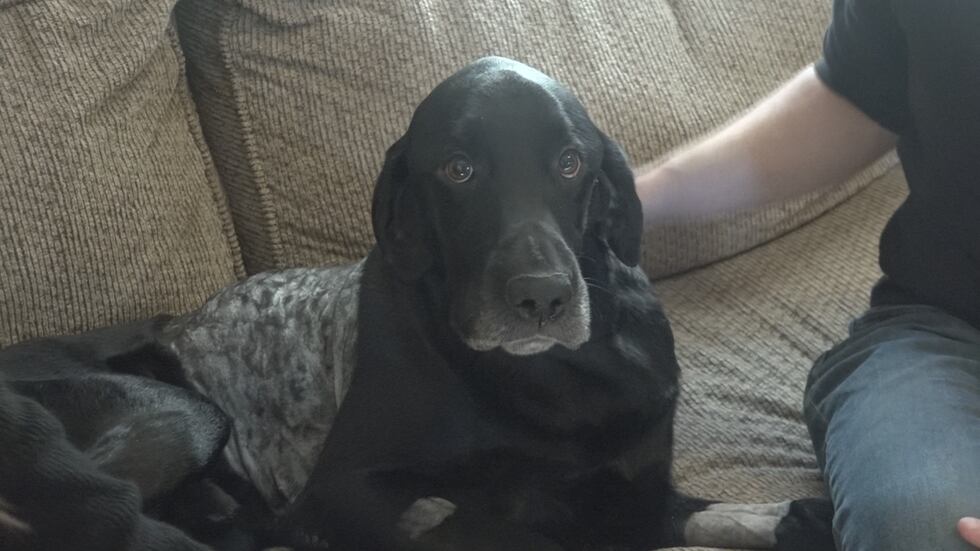 Photo of Mocha