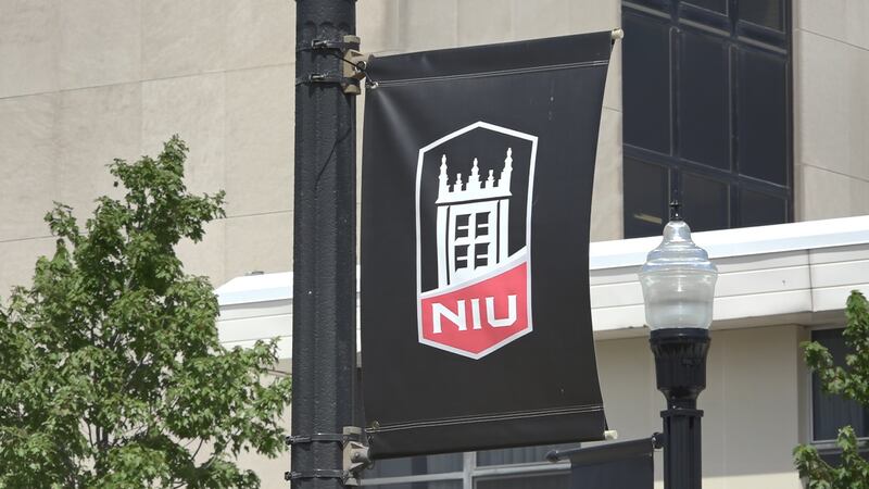 The freshman class is the biggest it has been at NIU since 2014.
