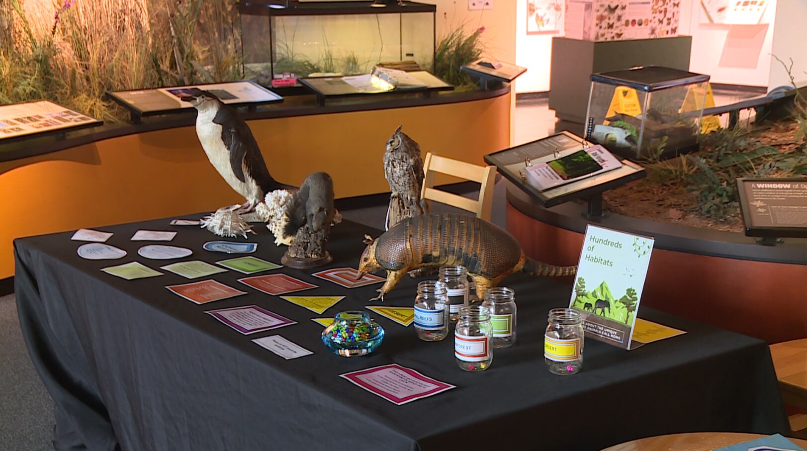 Burpee Museum highlights new Diversity Day event - Vimarsana News
