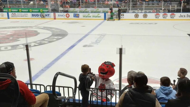 Hammy Hog at BMO Harris Bank Center