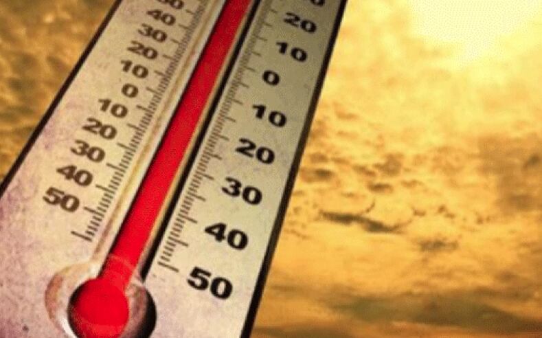 Preparing your body and your home for a heat wave - Vimarsana News